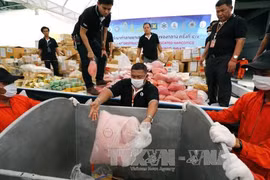 Myanmar, Thailand dispose seized drugs worth one billion USD