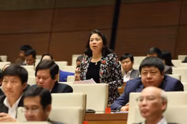 Resolutions related to Long Thanh airport, HCM City approved