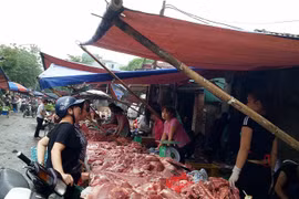 Firms promote pork demand, farmers struggle