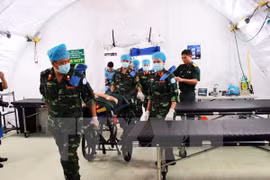 UN commits to supporting Vietnam in peacekeeping activities