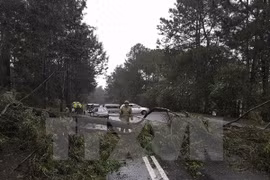 69 killed, 30 missing in storm Damrey, following floods
