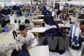 Economic challenges also create opportunities for Vietnam