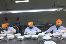 Vietnam has huge potential in swift-nest production