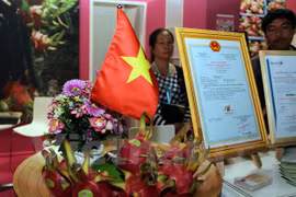 Vietnam’s dragon fruits introduced at Berlin international fair 