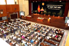 Ho Chi Minh City People’s Council convenes sixth session 