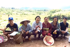 Japanese woman kindles organic cultivation among Vietnamese farmers 