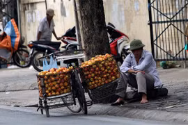 Hanoi seeks to protect sidewalks from drivers