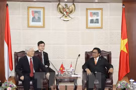 Vietnam, Indonesia aim for deeper strategic partnership