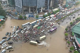 Hanoi prepares detailed anti-flood master plan