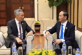 President promises optimal conditions for Singaporean investors