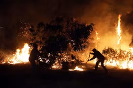 Indonesia to apply strict measures against forest fire-related firms