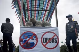 Opium fields on Thailand-Myanmar border destroyed