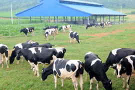 Decree designed to encourage investment in agriculture