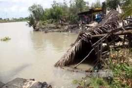 HCM City faces high risks of land erosion in rainy season