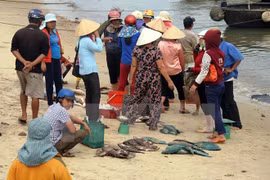 PM directs stockpiled seafood settlement in marine incident-hit provinces