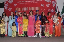 Vietnamese nationals in Mexico celebrate Tet 