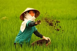 Sharp rise in fertiliser imports in first quarter
