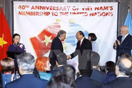 Int’l community hails Vietnam’s contributions to UN 
