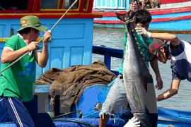 Vietnam’s tuna exports witness impressive growth