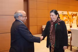 NA Vice Chairwoman meets UNICEF representative in Vietnam 