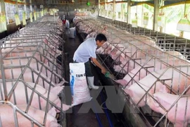 France’s Olmix inaugurates feed additives plant in Binh Duong 