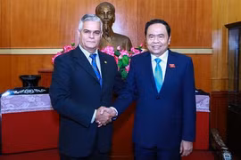 Vietnam, Cuba foster bilateral friendship 