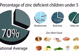 Zinc deficiency rampant in Vietnamese women, children