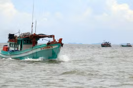 Vietnam strongly protests use of force against Vietnamese fishermen