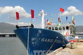 Steel-coated ships support Binh Dinh fishermen