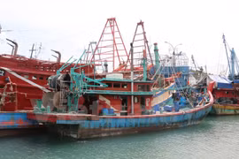 Indonesia returns 165 Vietnamese fishermen ahead of Tet