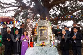 Conference promotes heritage tree preservation