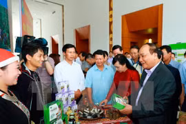 Herbal medicine hoped to be part of economic development priorities