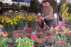 Japanese floriculture firm to invest in Lam Dong 