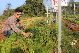 Vietnamese garden has Israeli roots