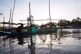 Aquatic products expected to rake in 9 billion USD by 2020