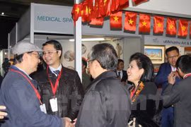 Vietnamese firms promote trade in South Africa