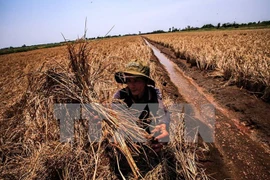 Partnership for green global goals discussed in Hanoi