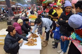 A season for unusual culinary discoveries