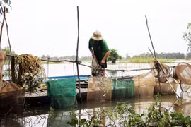 Mekong floods likely to arrive early this year