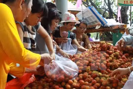 Enterprises advised to focus on organic fruit, vegetable exports to EU
