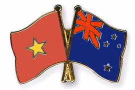Vietnam, New Zealand boost army cooperation