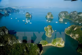  Vietnam tourism promoted in Italy