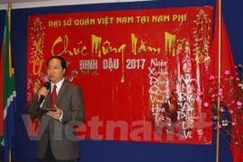 Vietnamese expatriates worldwide celebrate Lunar New Year