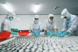 Vietnam promotes exports to Australia, New Zealand