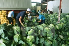 Farm exporters warned on pesticides