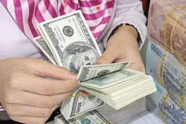 Rising trade deficit puts pressure on exchange rate 
