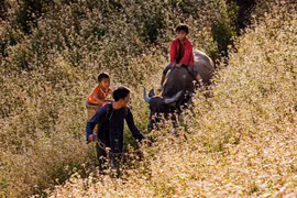 Photo contest on gender equality in Vietnamese families