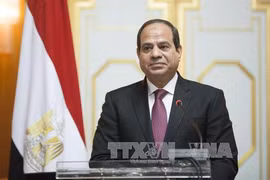 Egyptian President to pay State visit to Vietnam