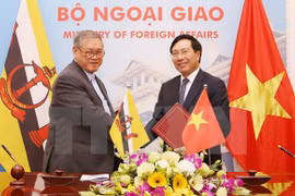 Vietnam, Brunei target 500 mln USD two-way trade by 2025 