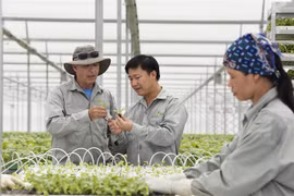 Hi-tech farms offer a vision of the future, today